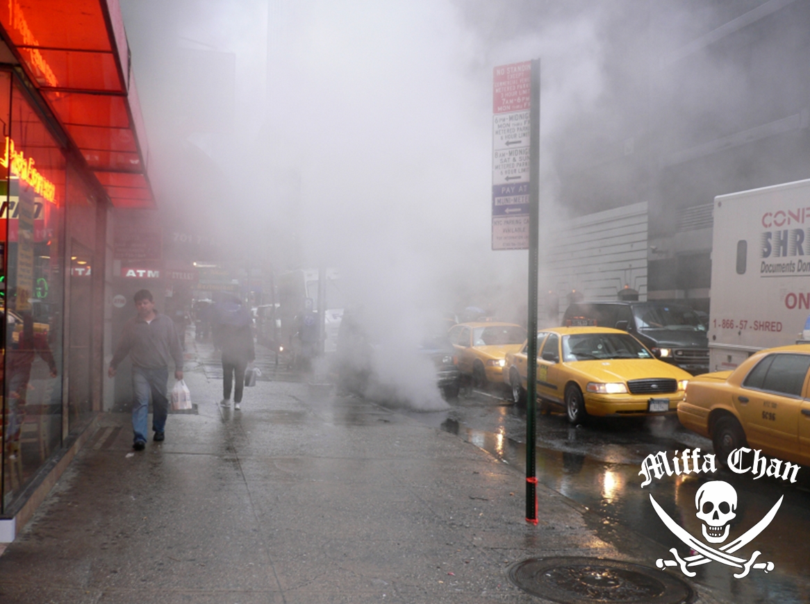 New York, New York