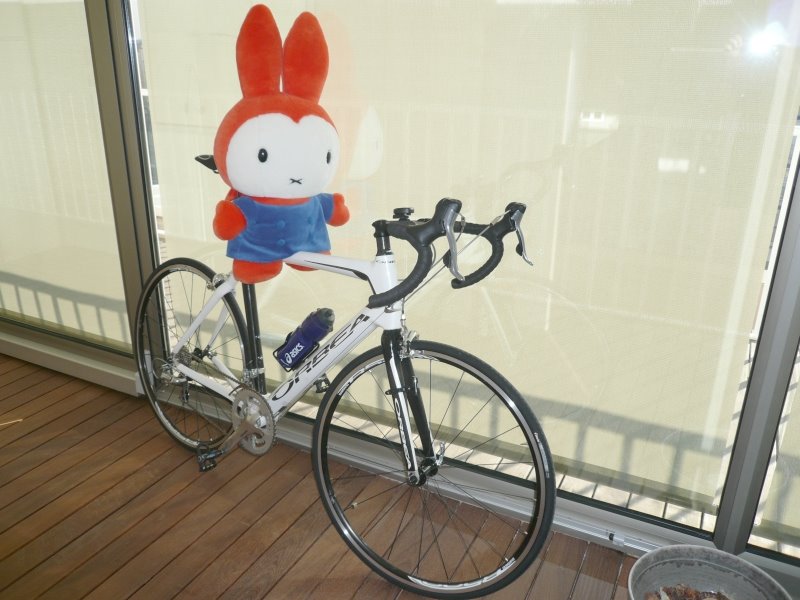 Father bunny’s new bike.