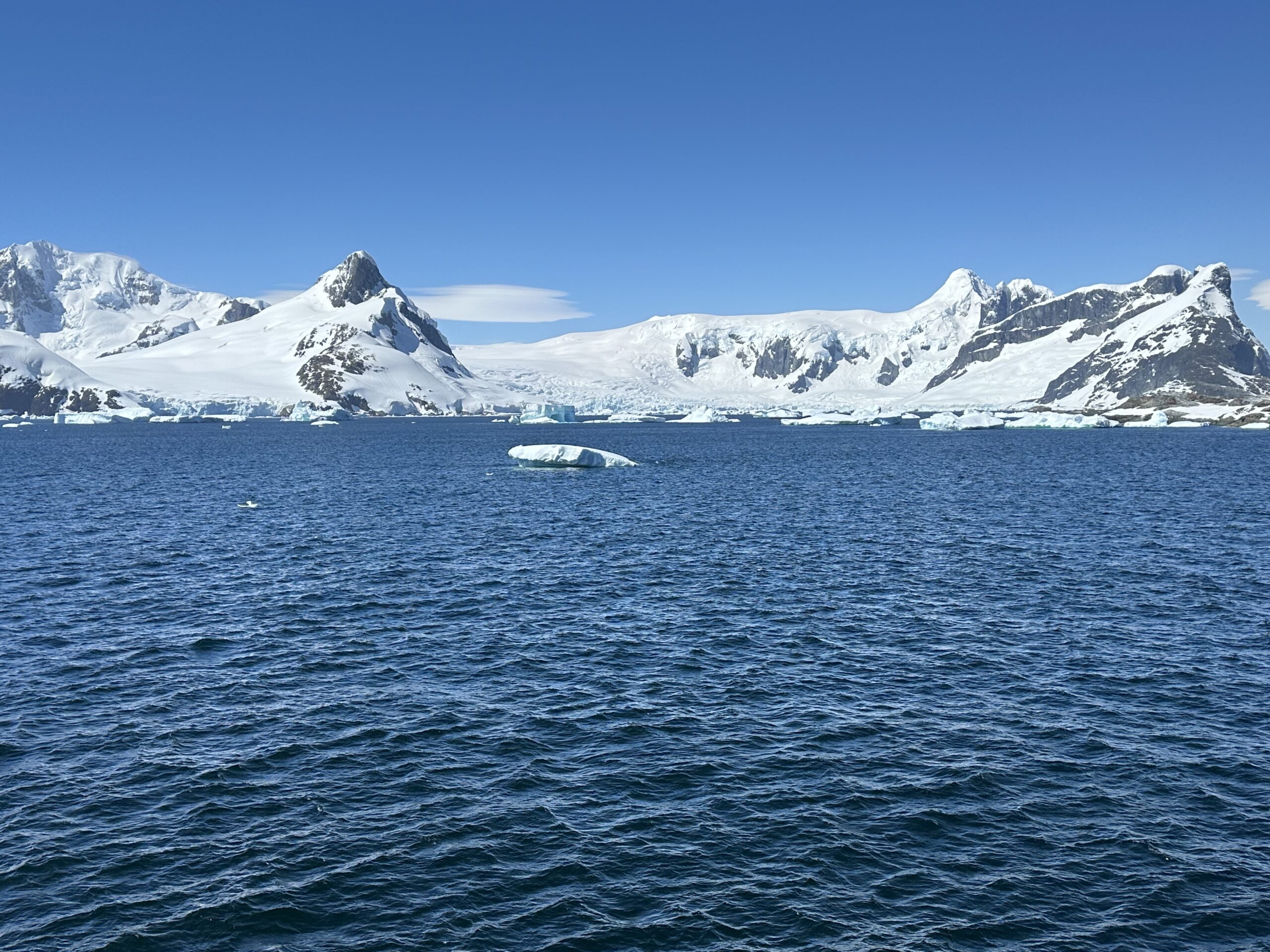 Get the most from your Trip to Antarctica