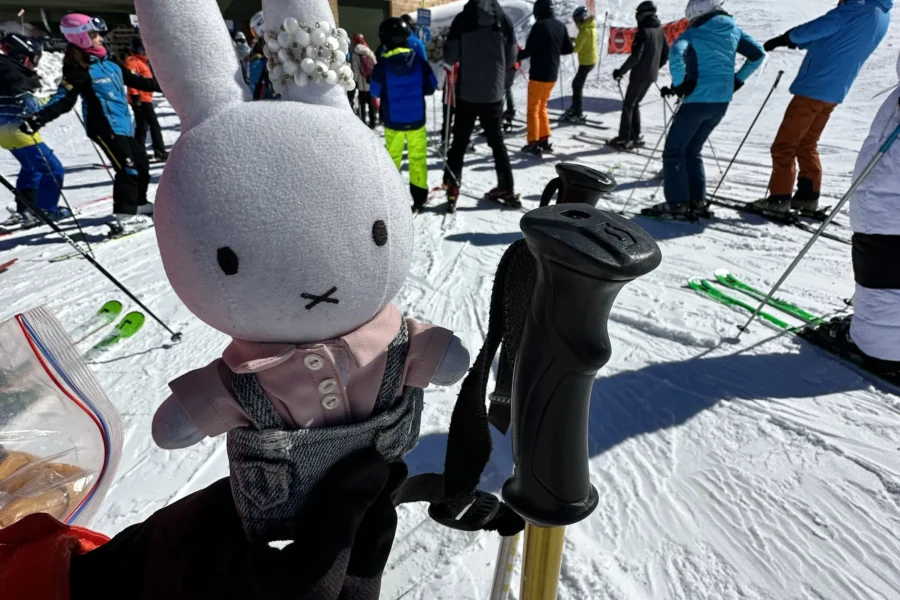 Nijntje from CaffeMiffy skiing