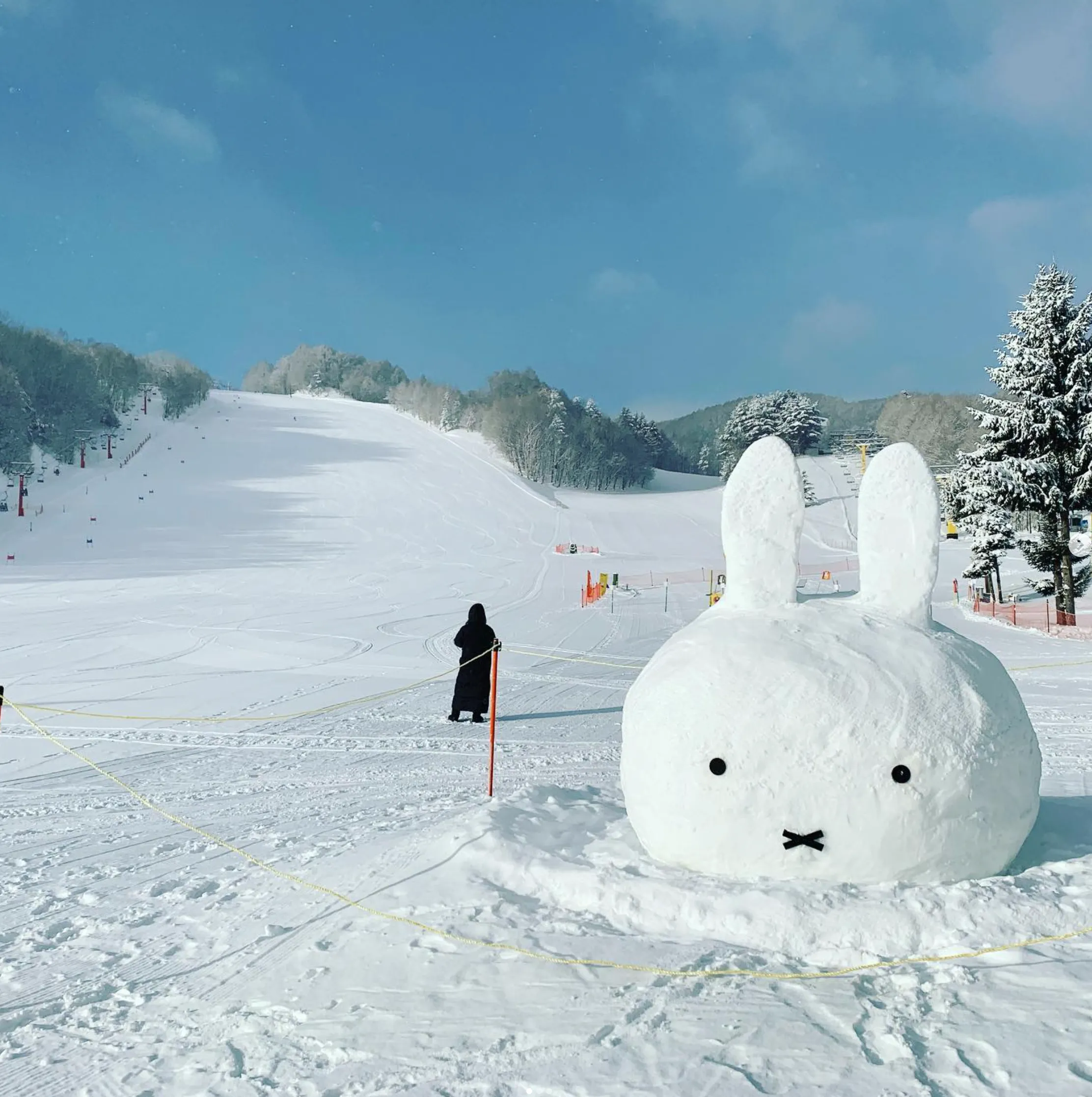 Miffy Ski Park in Japan : Katashina Kogen Ski Resort