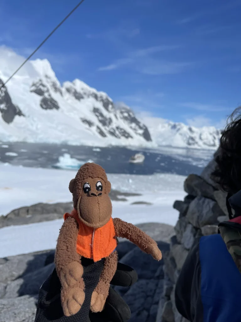 Countdown for a World Record: Miffa in Antarctica