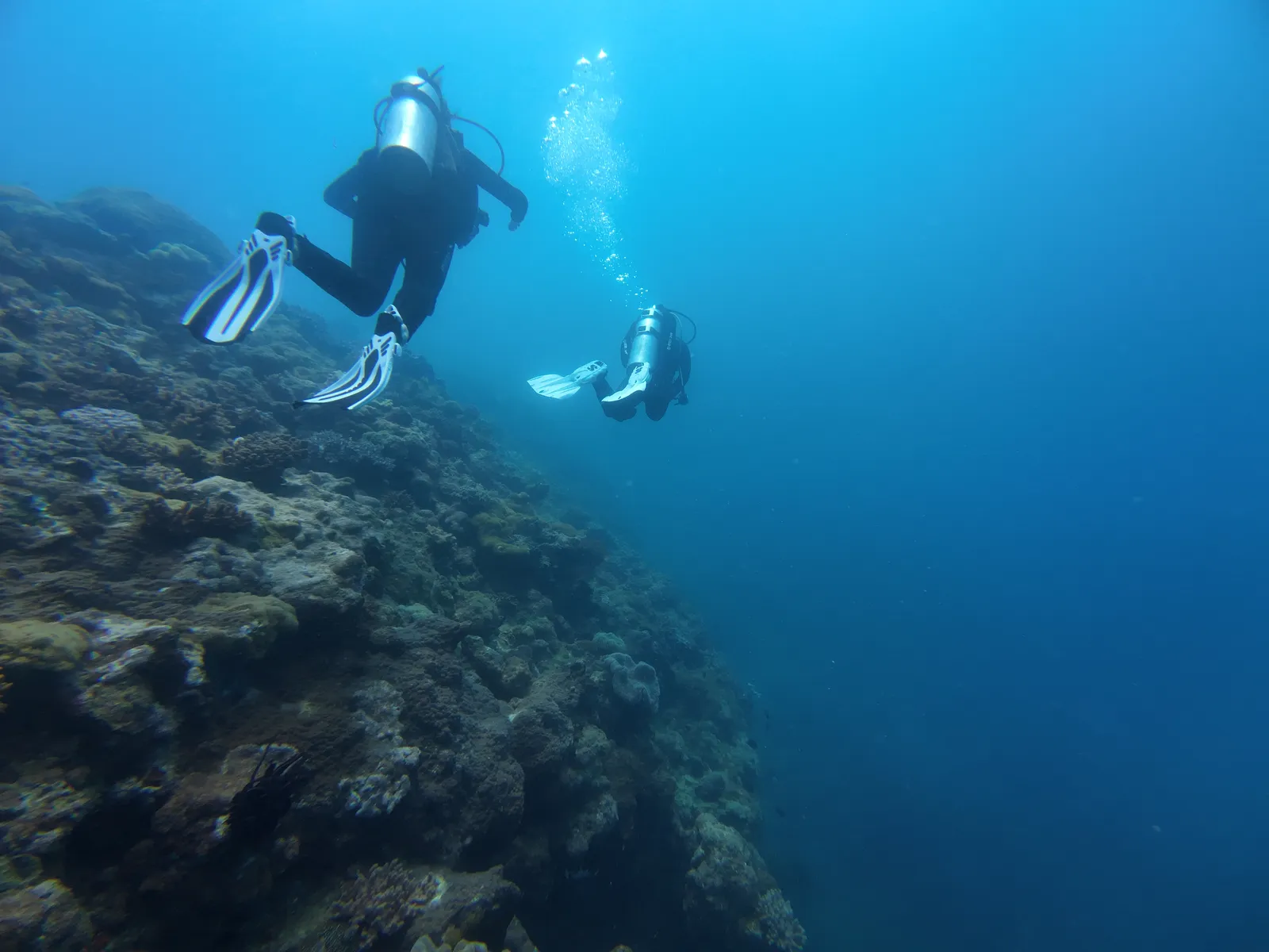 Whitsunday Islands: Diving with Manta Rays